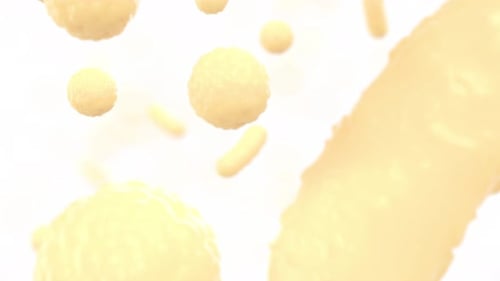 Floating Microscopic Cells and Bacteria in Fluid Animation