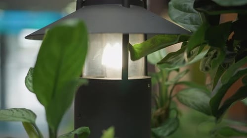 Outdoor Lamp with Greenery and Subtle Blue Light Glitch in Tranquil Garden Setting