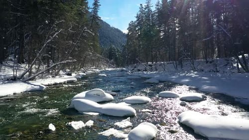 Beautiful snow scene forest in winter. Flying over of river and pine trees covered with snow.