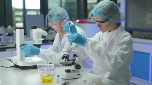 Researchers Work With Microscopes in Modern Laboratory