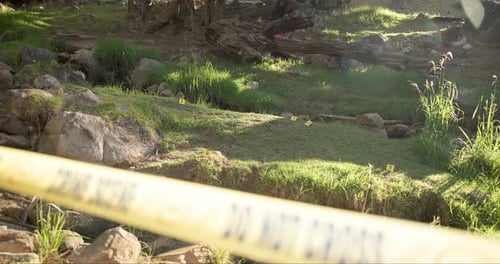 Police, yellow line or crime scene on field for emergency, law or restricted area for investigation