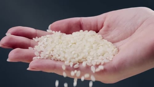 Close Up on Black and Blue Background There is White Round Rice on a Black Long Flat Plate Japanese