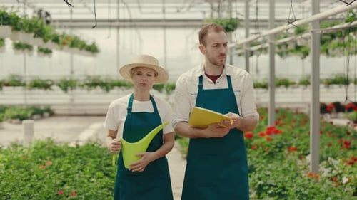 Two Garden Workers are Going Through the Greenhouse Talking Each Other