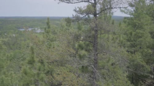 ontario canada wilderness forest nature lake summer landscape