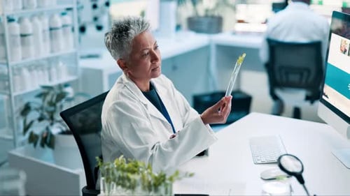 Science, woman and test tube with plant in laboratory for sample inspection