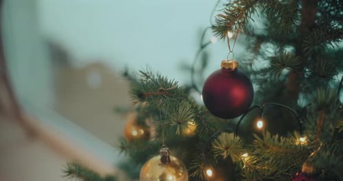 Christmas Tree Decorated with Ornaments and Lights