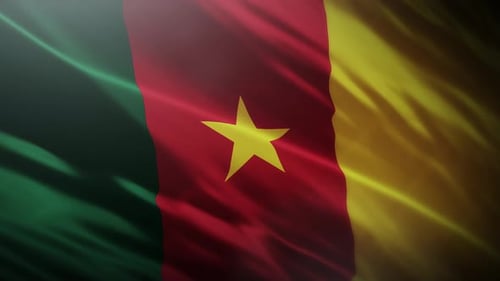 Cameroon Flag Waving - 4K
