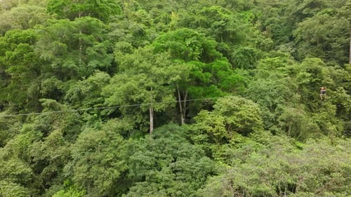 Zipline Adventure in Lush Costa Rican Jungle Aerial View