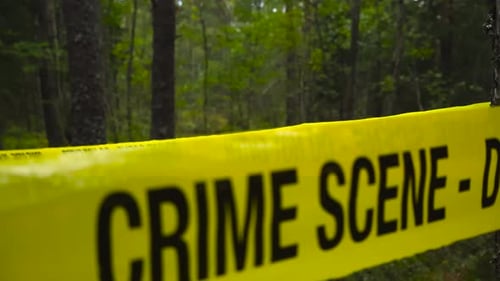 Yellow police line crime scene ribbon pulled around a forest area with bokeh blurry background.