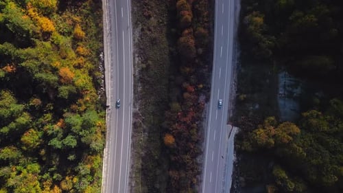 Autumn Forest Road - 4K