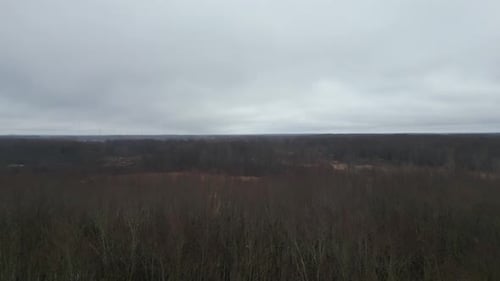 Luftaufnahme, die über abgestorbene Winterbäume mit weißem bewölktem Himmel fliegt.