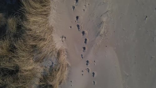 Deep footprints on sandy coastal beach near dunes, aerial top down shot