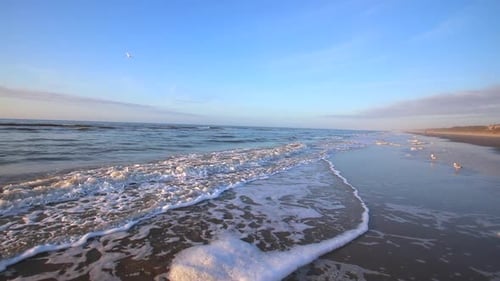 Waves crashing on beach shore in the morning. Sunrise on beach. Ocean water waves breaking on beach.