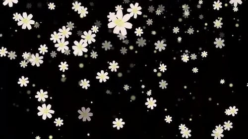 Gentle Falling White Flowers and Light Particles