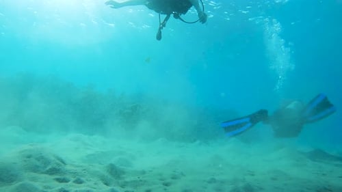 Divers with full divers equipment swimming underneath the ocean, exploring the underwater depts and