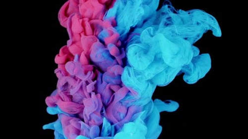 Abstract Blue and Pink Ink Plumes Swirling