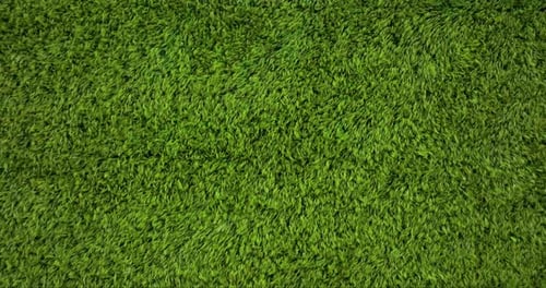 Aerial view of green grass field, Germany.