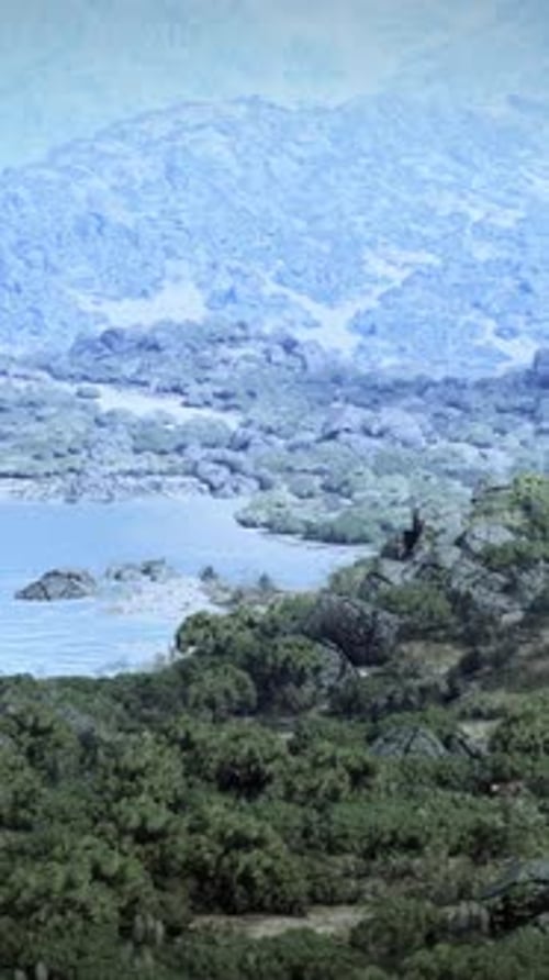 A Serene Lake Nestled Amidst a Picturesque Forest