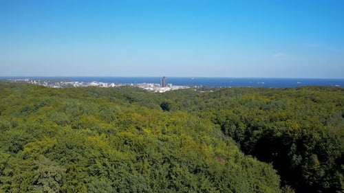 Canopée dense d'arbres forestiers avec horizon côtier de Witomino à Gdynia, en Pologne. descente aérienne