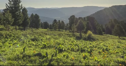 Zeitraffer von Mountain Meadow