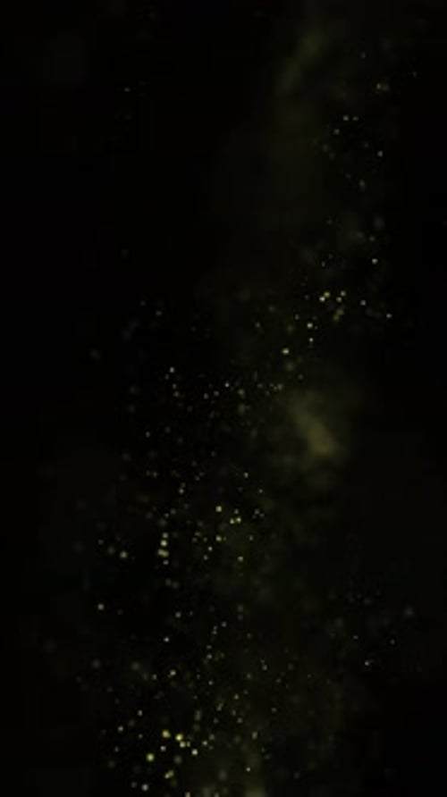 Elegant Golden Particles Rising Seamless Loop Background