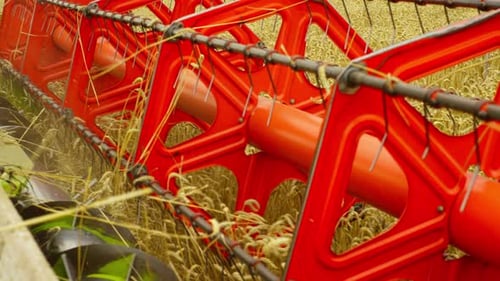 Closeup of the Combine Harvester at Work in the Field