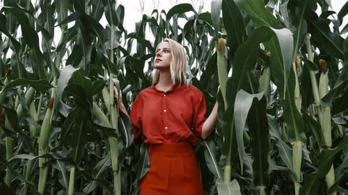 Woman in stylish orange color shirt and pants in the middle of a cornfield, Poland