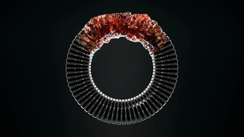 Renderização 3D do caminho de deformação do toro