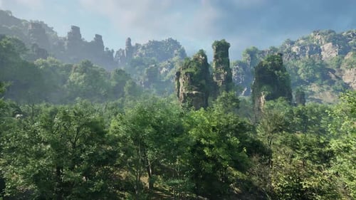 A Lush and Vibrant Forest with a Canopy of Green Trees