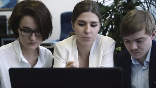 Business Team Working Together on Laptop in Office