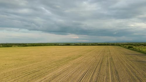 Luftlandschaftsansicht von bewirtschafteten landwirtschaftlichen Feldern am pulsierenden Sommerabend