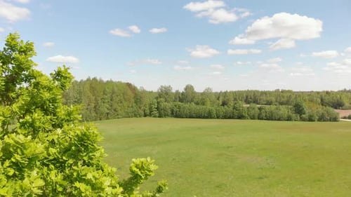 Scenic aerial view of park behind Oak tree, northern European landscape in Kurzeme, Latvia