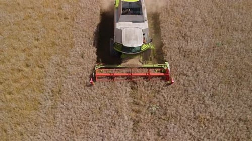 Aerial shot of Modern combine harvester in the field Harvesting wheat leaving dust behind