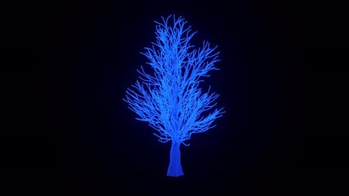 Animación 3D holográfica sobre el crecimiento de un árbol de eucaliptos