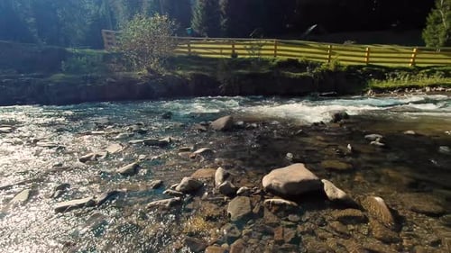 Beautiful Stream of a Small Mountain River in the Carpathians Mountains