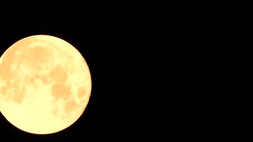 Full Orange Moon Ascends in Dark Night Sky