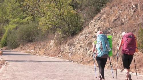 Back View of Three Hikers Going Forward