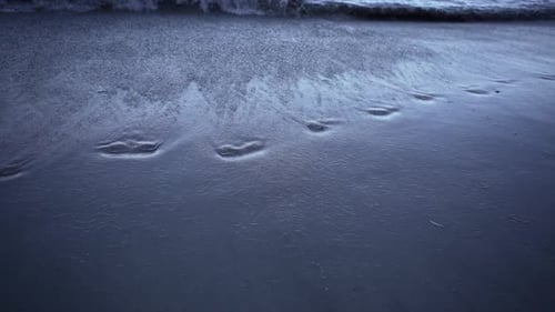 Close Up of the Breakwater with Footsteps on the Shore at New Chums Beach New Zealand