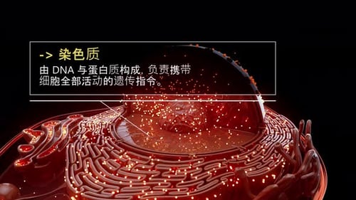 Conceptual 3D Animation of a Eukaryotic Cell with Labeled Organelles in chinese