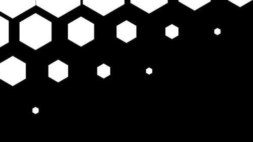 Stanza Collection: Hexagon grid reveals the screen in left to right transition