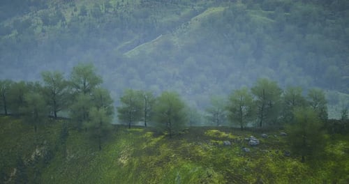 Lush Green Hillside with Fog and Trees in a Serene Landscape