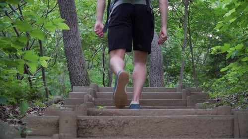 Hiker walking up the wooden stairs in the forest in summer
