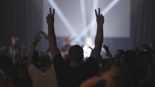 Energetic Crowd Dancing at Live Music Event