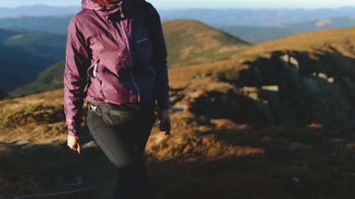 Hikers Walking on Footpath Exploring Carpathian Mountains Range During Trekking Trip