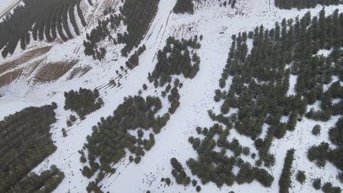 Snowy Forest Aerial View in Winter