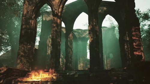 Church Ruins in Woods