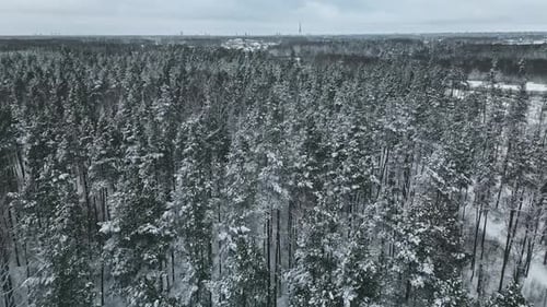 Aerial Winter Wonderland An Exquisitely Beautiful Snow Covered Forest Landscape Perfectly Captured