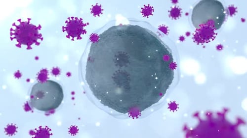 Microbiome intestine factories microbiota