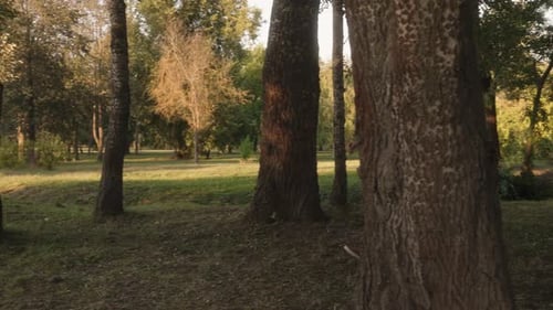 Couple Walking In The Park