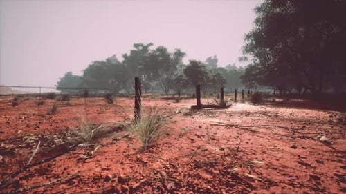 Arid Red Earth Landscape with Wooden Fence and Sparse Trees